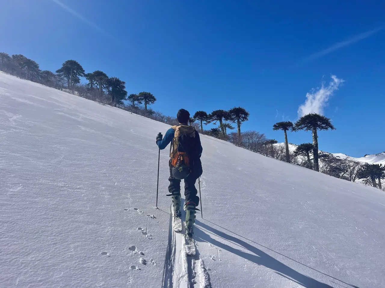 Ski Touring