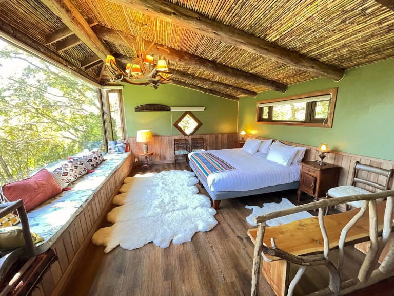 Apex Martín Pescador